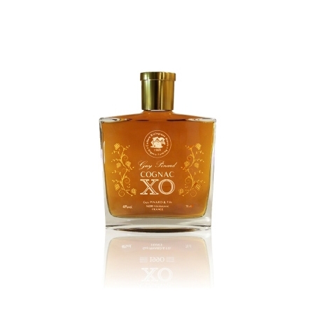 XO Bio Cognac Guy Pinard et fils carafe