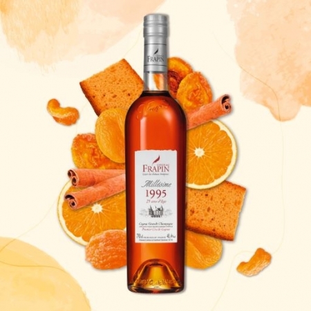 Cognac Frapin Millésime 1995 - 25 ans - Grande Champagne