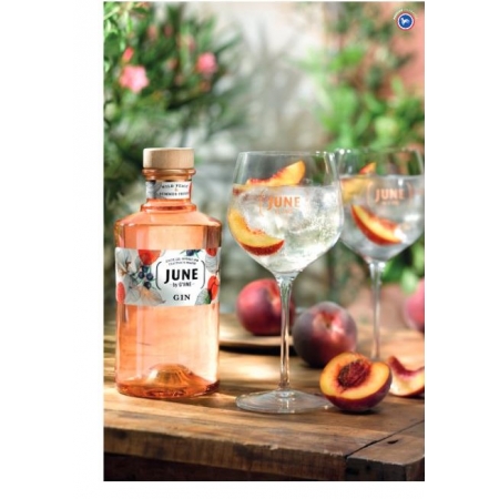 June By G'Vine Peach Gin Liqueur