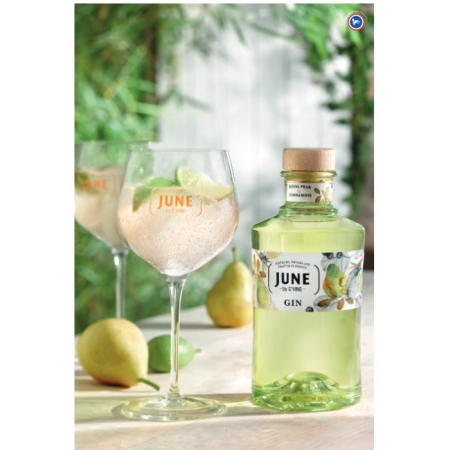 June by G'Vine Gin Poire et cardamome Maison Villevert