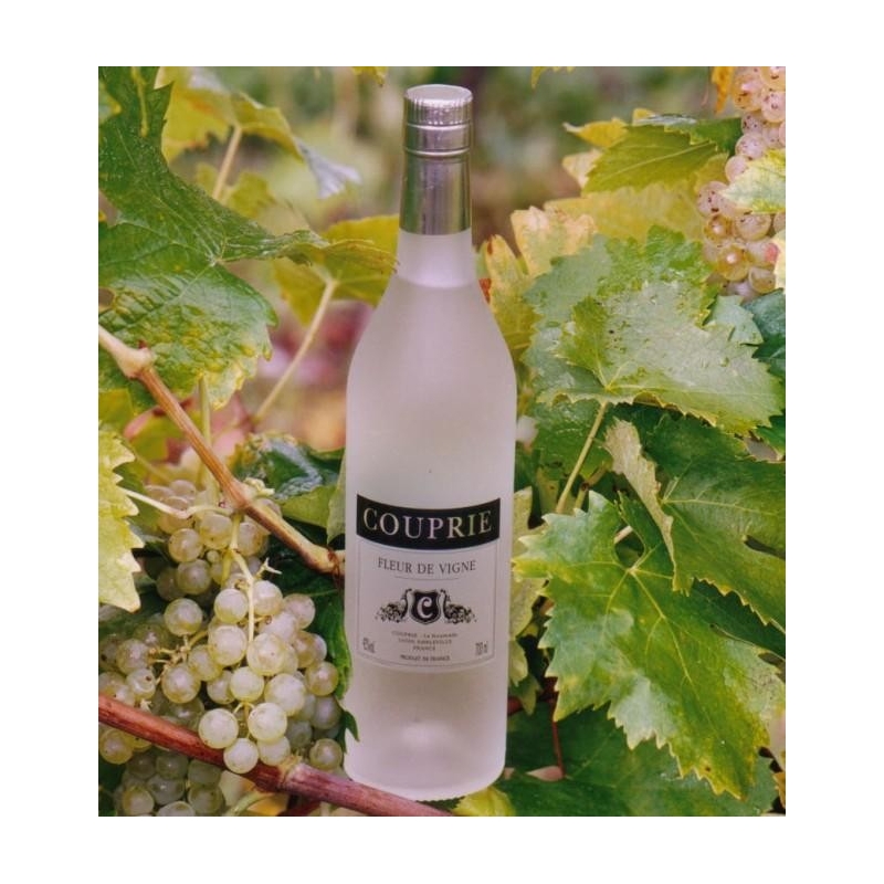 Fleur de Vigne Wine Brandy Couprie
