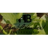 Brard-Blanchard vignerons bio